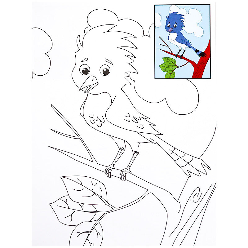 Copy Colour - Birds - Fun Bird-Themed Colouring Book for Kids - Kids Colour Book