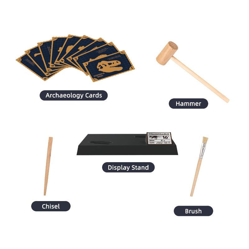 A collection of kit components including a set of fan-shaped "Archaeology Cards," a wooden hammer, a wooden chisel, a brush, and a black display stand with a specimen label.