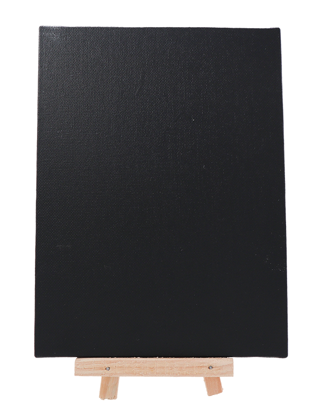 DoodleVerse 8 X 10 Canvas Board Black
