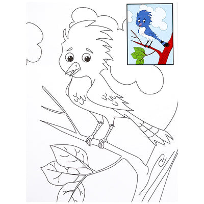 Copy Colour - Birds - Fun Bird-Themed Colouring Book for Kids - Kids Colour Book