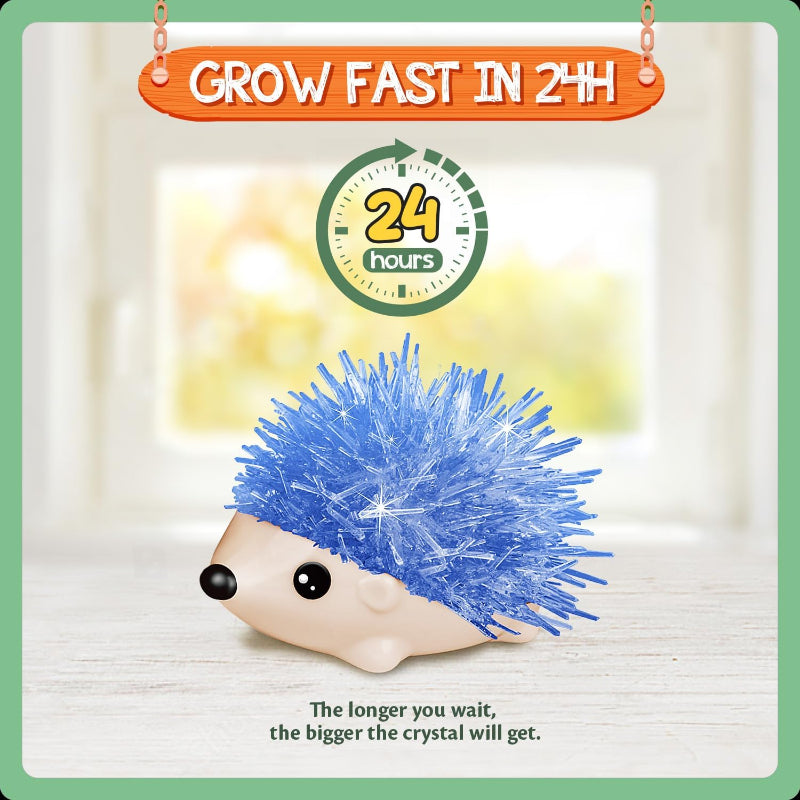 Close-up of a completed blue crystal hedgehog figure sitting on a surface with a 24-hour growth timer icon above it.