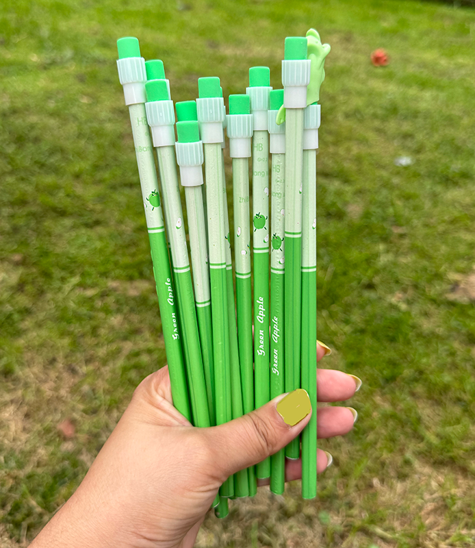 12 high-quality HB pencils with eraser tip