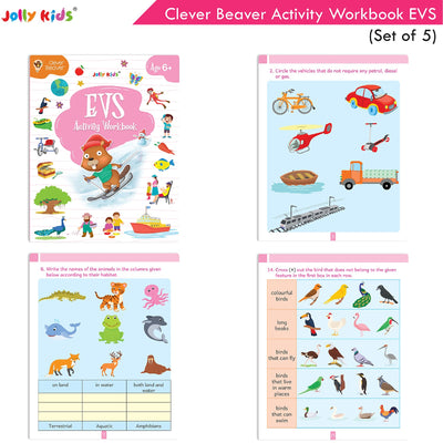 EVS activity book in Bundle of five activity workbooks for ages 6