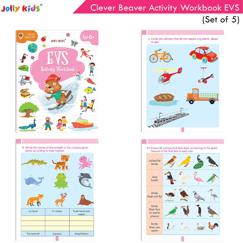 EVS activity book in Bundle of five activity workbooks for ages 6