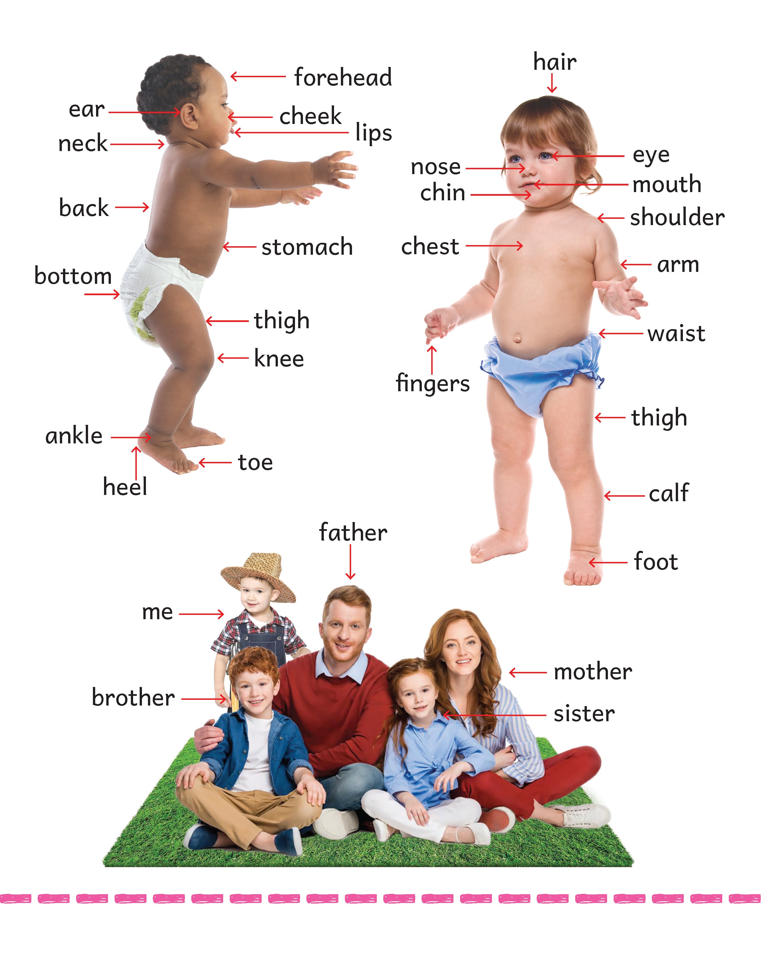 My Big Board Book - First Words - Early Vocabulary Builder for Toddlers - Kids Big Board Book
