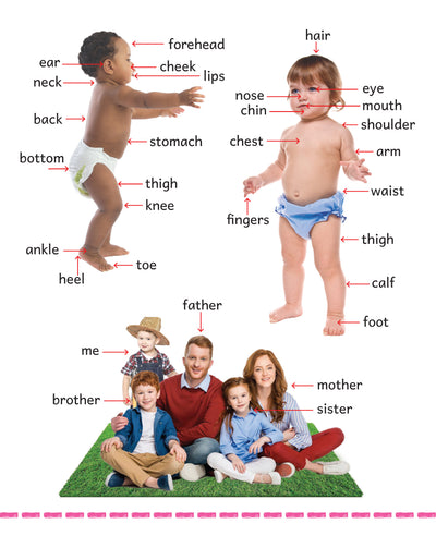 My Big Board Book - First Words - Early Vocabulary Builder for Toddlers - Kids Big Board Book