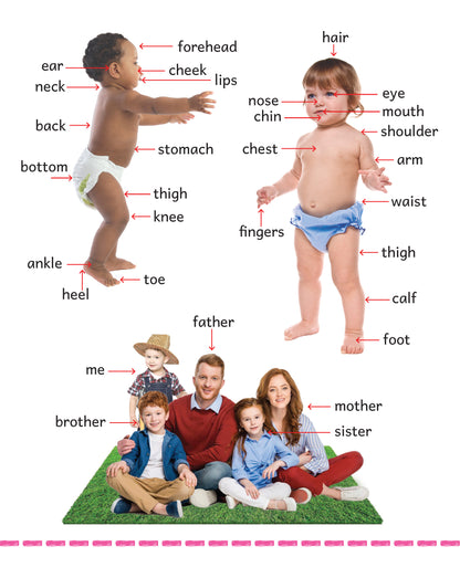 My Big Board Book - First Words - Early Vocabulary Builder for Toddlers - Kids Big Board Book