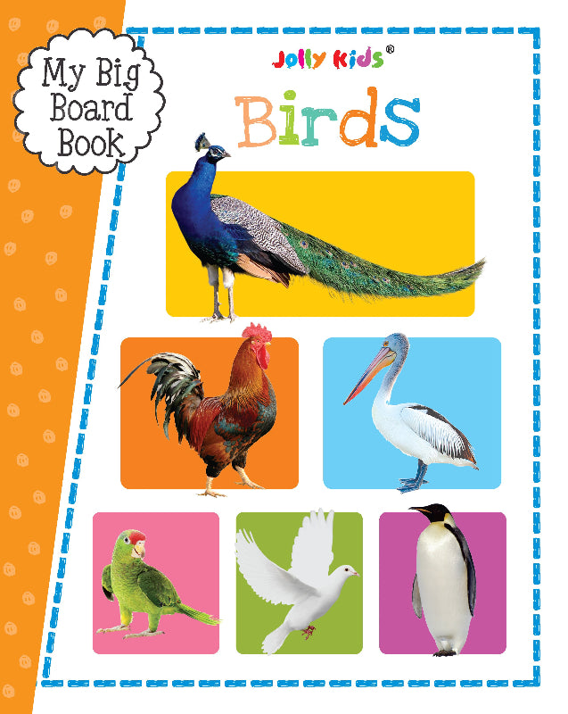 My Big Board Book - Birds - Colourful Bird Picture Book for Toddlers - Kids Big Board Book