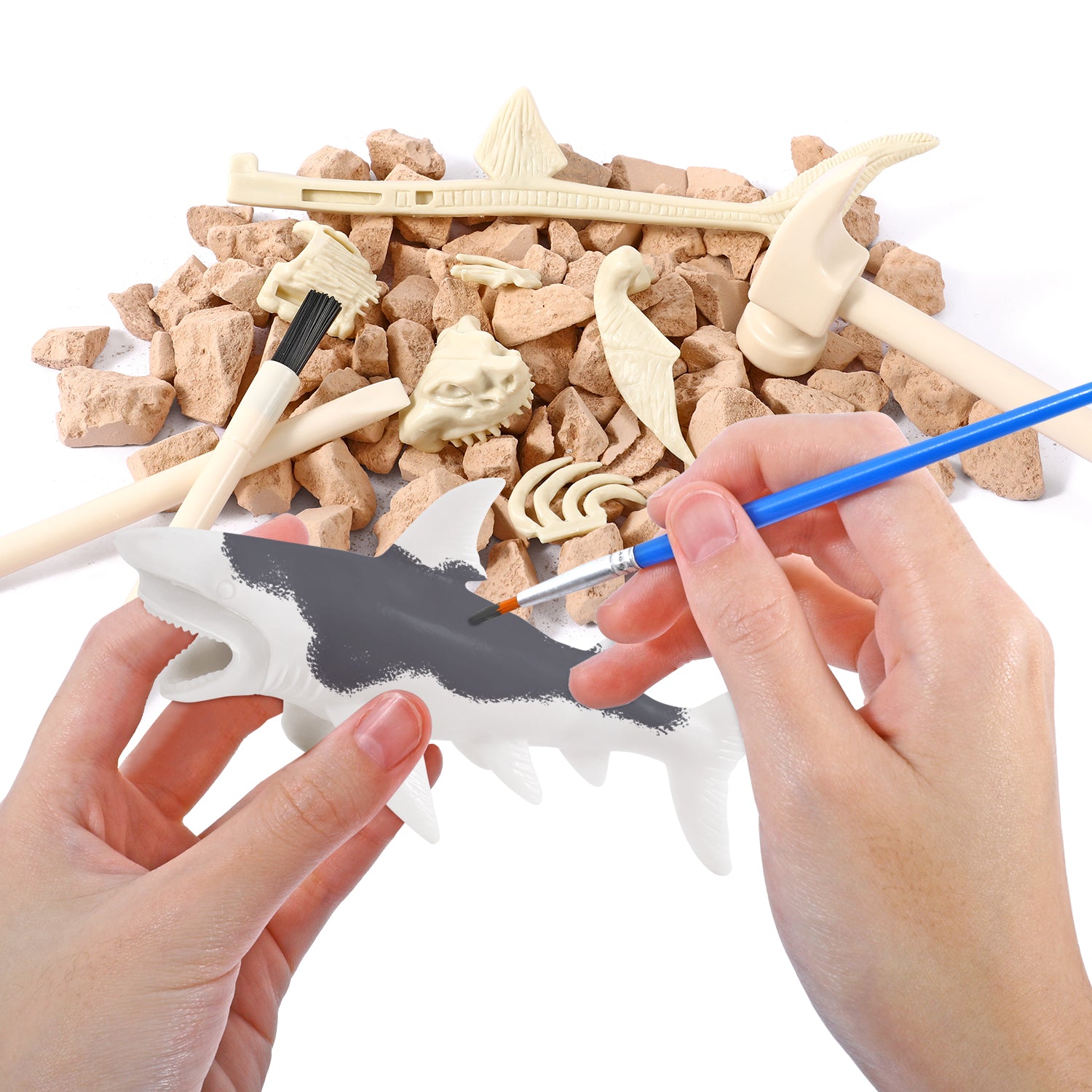 Shark Attack: STEM 2-in-1 Activity Kit