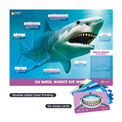 Shark Attack: STEM 2-in-1 Activity Kit