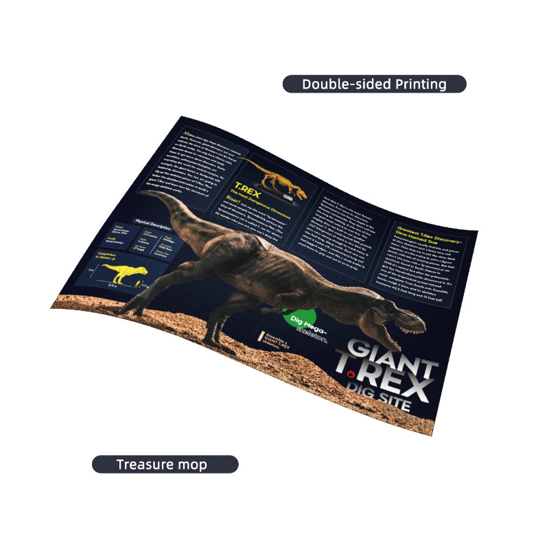 A double-sided "Giant T-Rex Dig Site" educational poster and treasure map featuring dinosaur facts, physical descriptions, and illustrations of the Tyrannosaurus Rex.