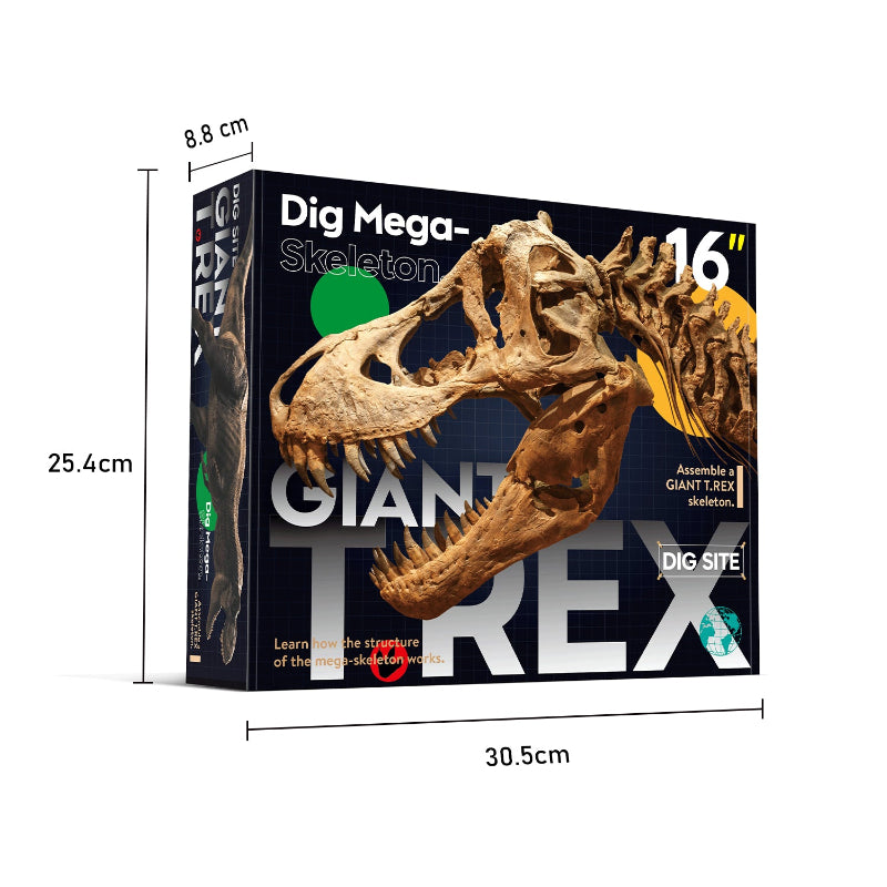 Product box for the Giant T-Rex Dig Mega-Skeleton kit showing dimensions of 30.5 cm in length, 25.4 cm in height, and 8.8 cm in depth.