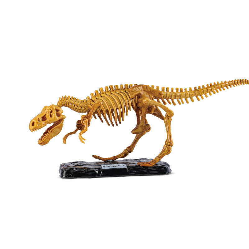 A side-profile view of the completed 16-inch Tyrannosaurus Rex skeleton model standing on a black textured display base.