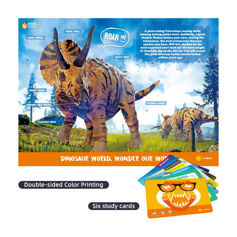 A close-up of a double-sided color instruction manual featuring a detailed Triceratops diagram with anatomical labels and a stack of six educational study cards.